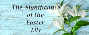 The Significance of the Easter Lily